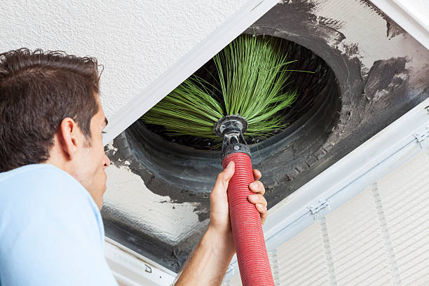 Best Ductwork Cleaning Services  in Wauconda, IL